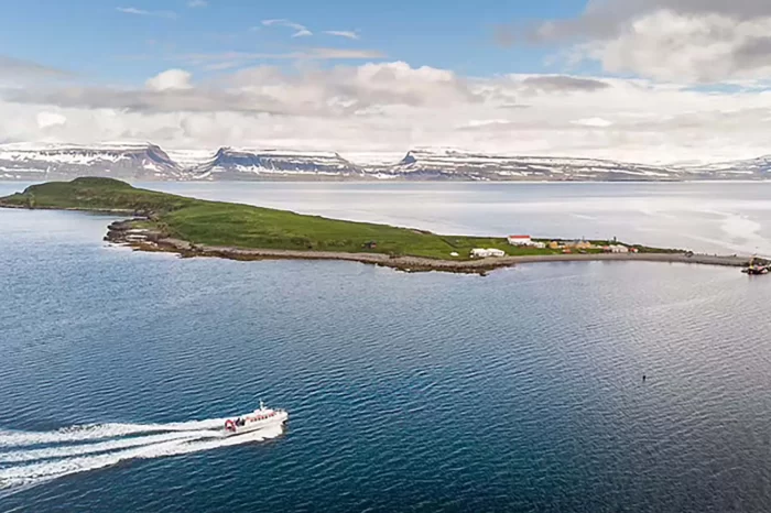 Vigur Island tour from Isafjordur Cruise Ship Port
